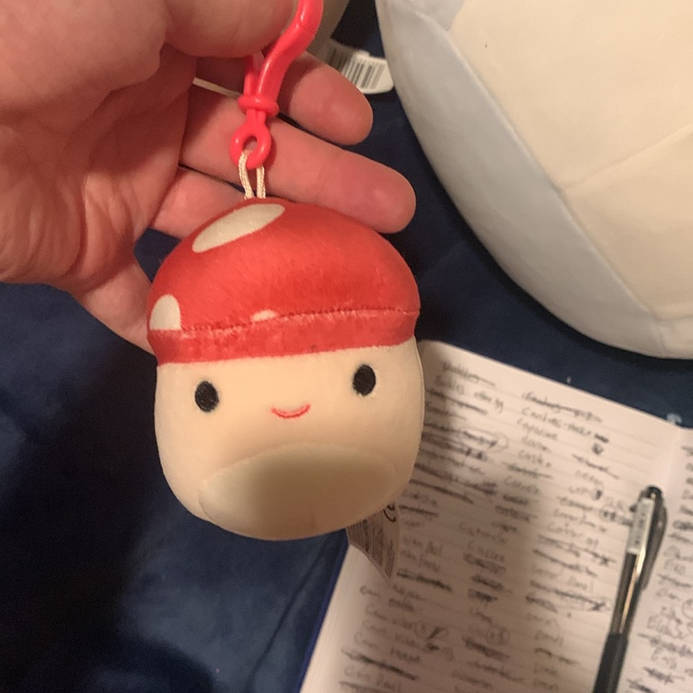 HUGE Mushroom Squishmallow bundle NWT, almost every mushroom squishmallow - Picture 11 of 11